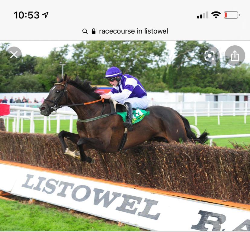 Hotel Racecourse View Listowel Exterior foto